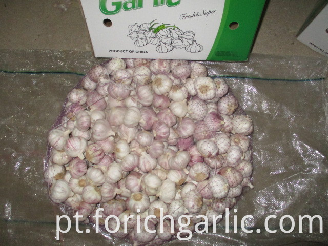 Fresh New 2019 Normal Garlic